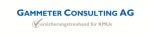 gammeterconsultingag